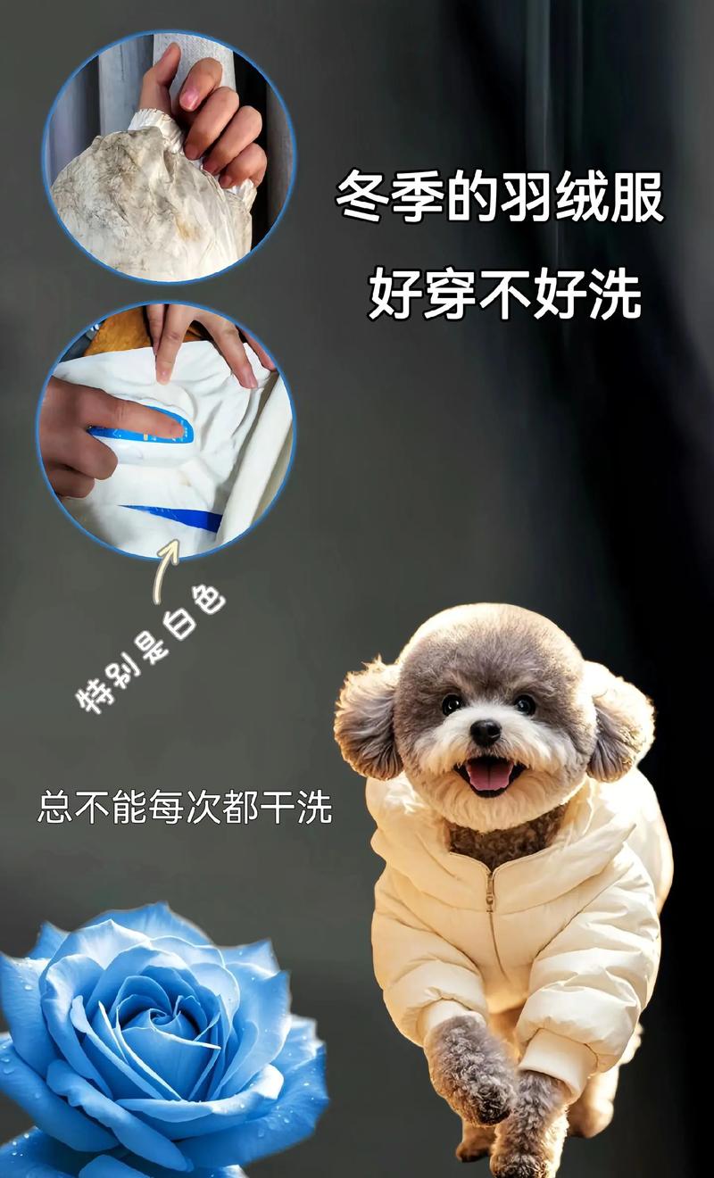 宝子们,这款羽绒干洗剂我真的按头安利!